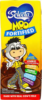SELECTA MOO CHOCOLATE MILK 24/8.2